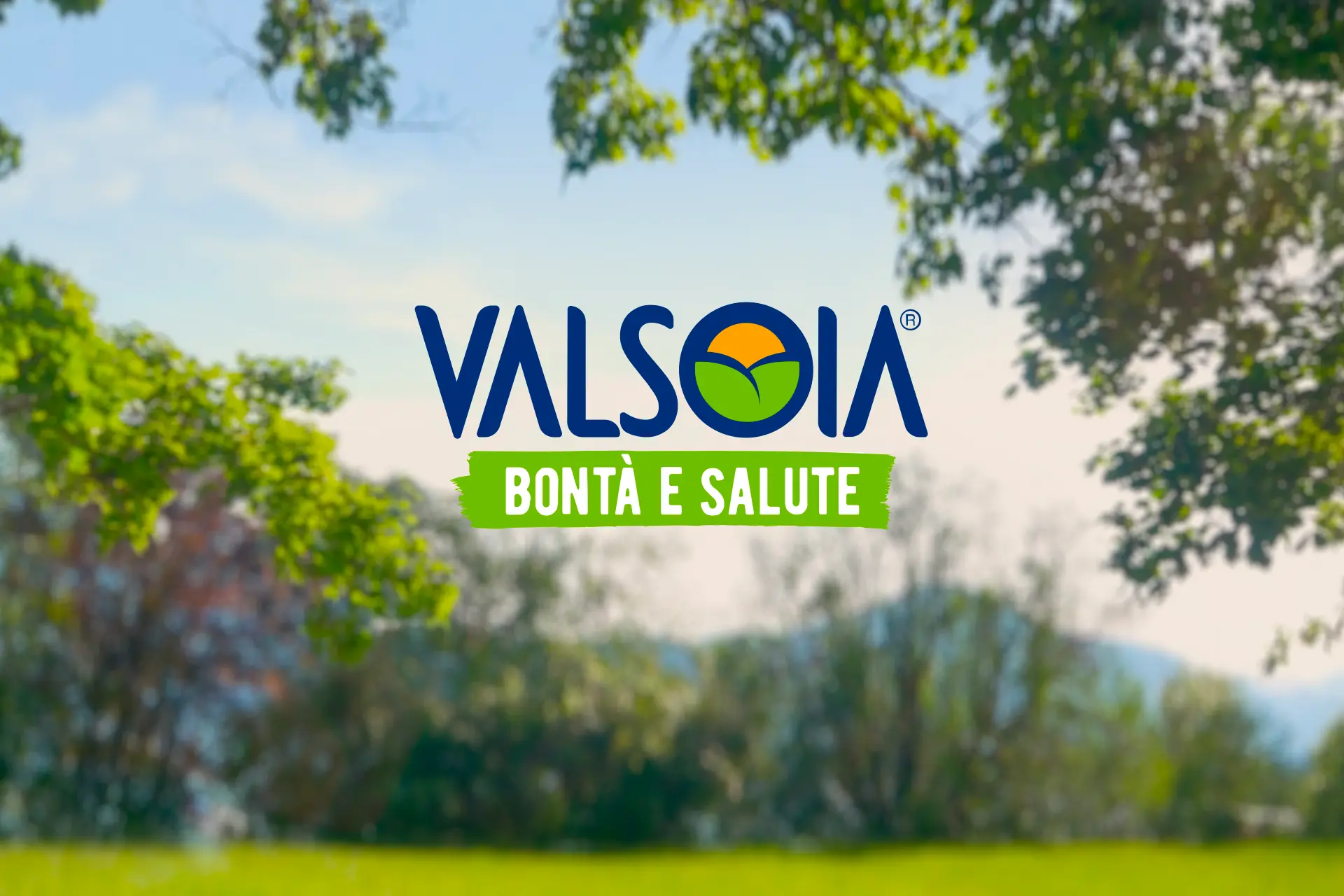 FAQ Valsoia Azienda